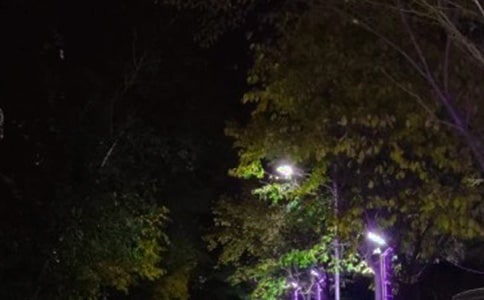 平凡的路燈作文