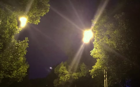 路燈的自述作文(精選22篇)