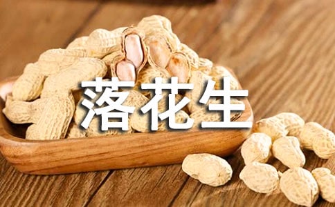 落花生教案(通用20篇)