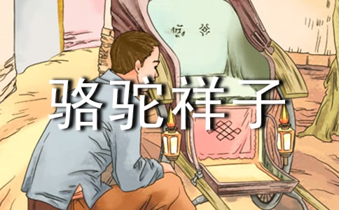 駱駝祥子心得體會(huì)(集合15篇)