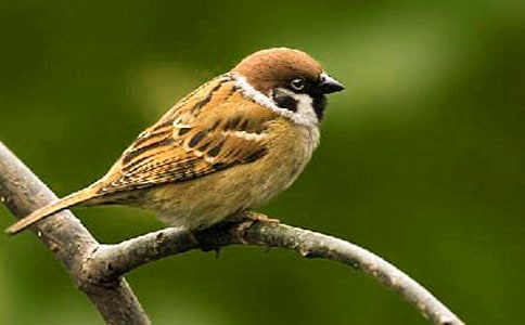 ��ȸ��(y��u)������