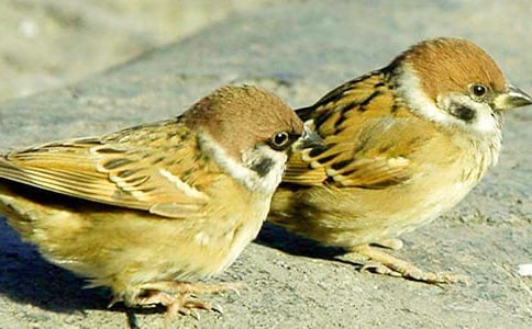 �����T����ȸ����600��3ƪ