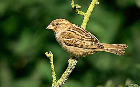 ���Ķ����С��ȸ����600������