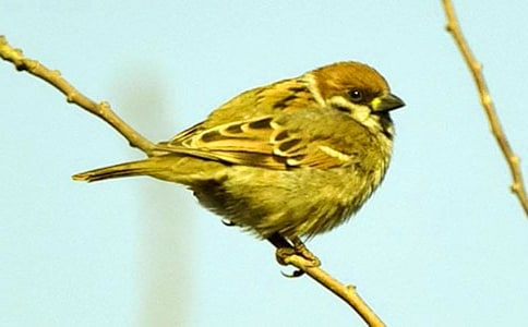 С��ȸ��Ҋ����