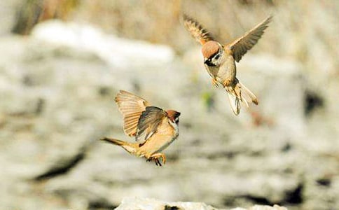 ���꼉С��ȸ�����\��10ƪ