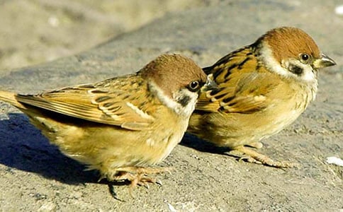 �x����ȸ���и�15ƪ