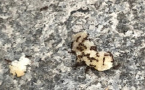 �^��СΛρ��ӛ500��