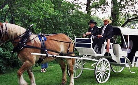 我們村里的三駕馬車散文