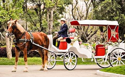 ���r�g��С�R܇���Ľ̌W(xu��)��˼����