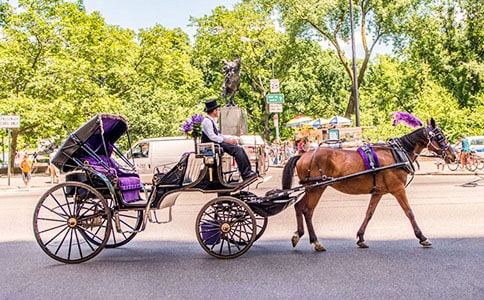 交大子弟剛開始坐馬車上學 西遷中竟有這新鮮事
