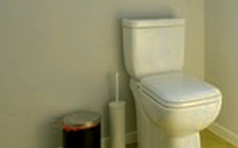 大班美術(shù)陶藝《馬桶暢想曲》教案