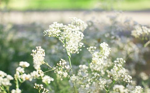  �f�����Һ͝M�����Ǻ���100������