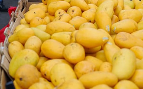 �P(gu��n)���Ґ�â������300���\��6ƪ