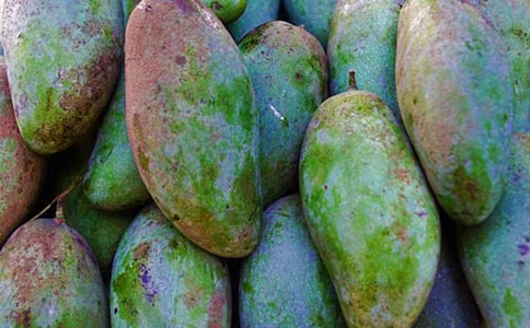 [����]â���������