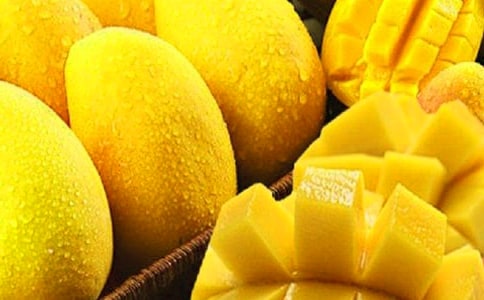 [��(y��u)�x]â���������