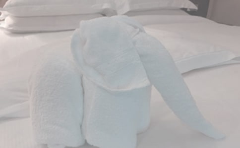 母愛的毛巾作文