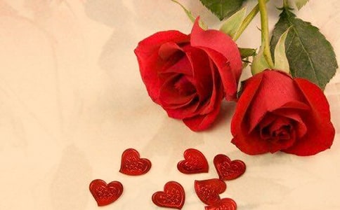 勵志故事:玫瑰不著急綻放