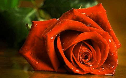 �P(gu��n)��õ������500���\����ƪ