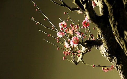 ������÷��ɽ���Ľ̰��O(sh��)Ӌ