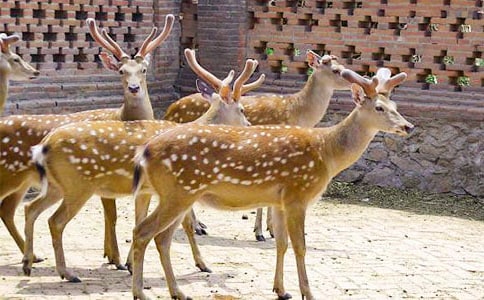 �ҵ������ѡ���÷��¹