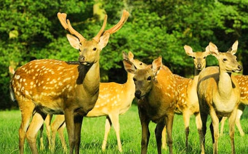 ÷��¹Ó�Uӛ����400��