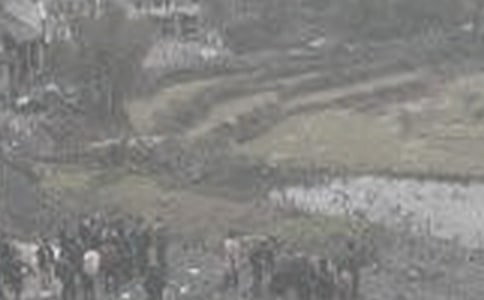 ú�V��ȫ���a(ch��n)���L(f��ng)�ĵ��w��