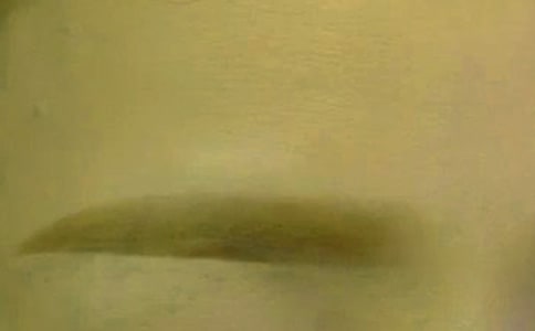 政治哲學復習 切忌“眉毛胡子一把抓”