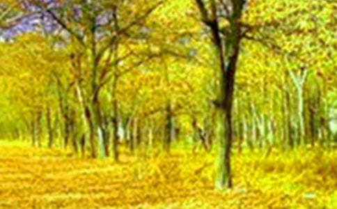 鄉(xiāng)村美景優(yōu)秀作文