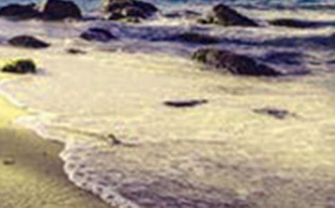 ������������