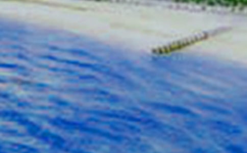 �l(xi��ng)����������15ƪ