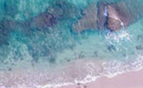 鄉(xiāng)村美景作文