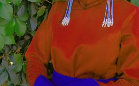 �ɹ�������Щ�L(f��ng)�����ɹ���Ľ���