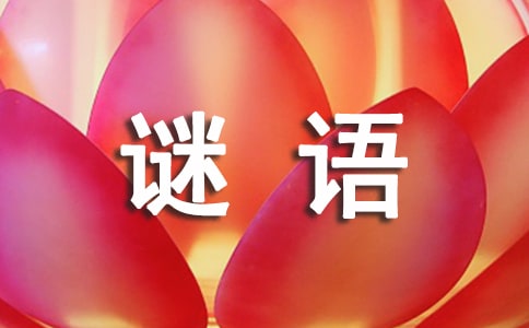 謎面:不生第二胎 謎語(yǔ)答案提示:白頭格