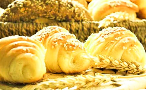 小班美術(shù)烤面包教案