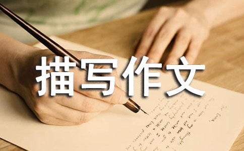 人物描寫(xiě)作文300字