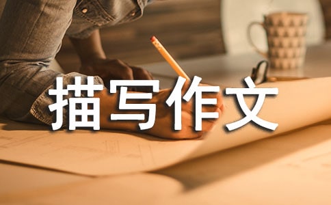 ���t��������������茑����