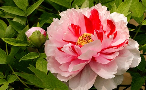 ������ĵ����������(gu��)�zַ -�Y��