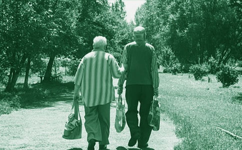 給奶奶的一封信精品(15篇)