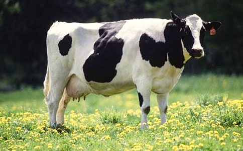 �а����g��(y��u)��̰����옷����������˼