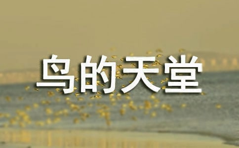 鳥的天堂導游詞【范例15篇】