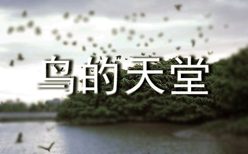鳥的天堂導(dǎo)游詞(優(yōu)秀15篇)