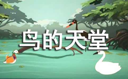 介紹鳥的天堂導游詞13篇