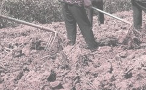 �����ڼ����r(n��ng)���ĵ��w����ͨ��5ƪ��