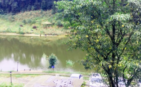 關(guān)于農(nóng)家樂的作文