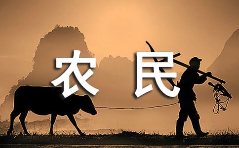 農(nóng)民工生存現(xiàn)狀調(diào)查報(bào)告