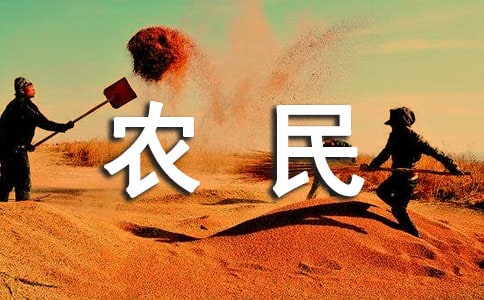 農(nóng)民工生存現(xiàn)狀調(diào)查報告8篇
