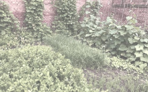 ���x:���D(zhu��n)�����r(n��ng)���ﰲȫ���}���