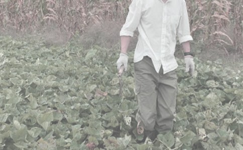 萍鄉(xiāng)地區(qū)土壤氟污染對農(nóng)作物的影響