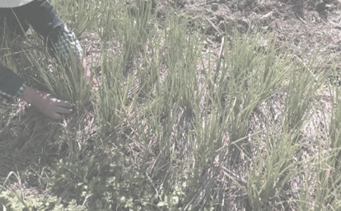 ���r(n��ng)�������a(ch��n)���g(sh��)ԇ�}����