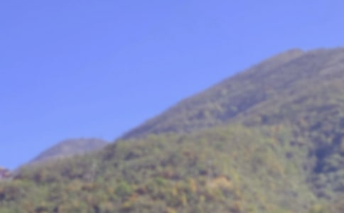 描寫爬山的優(yōu)秀日記